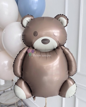 Шары мальчику с мишкой