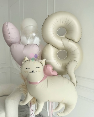 Шары для девочки на 8 лет с кисой