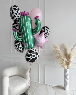 Шары для девушки с кактусом