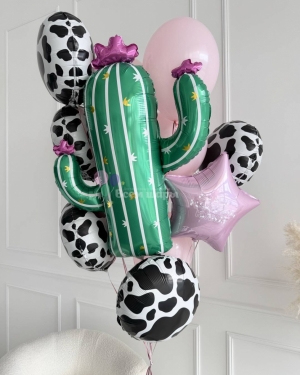 Шары для девушки с кактусом