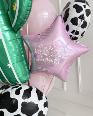 Шары для девушки с кактусом