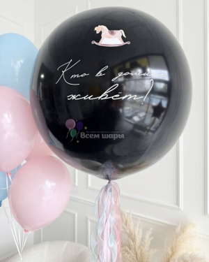 Шары на гендер пати "Кто в домике живет?"