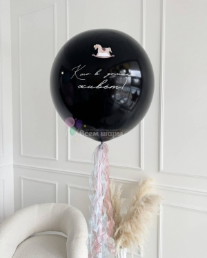 Шары на гендер пати "Кто в домике живет?"