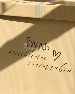 Коробка с шарами для девушки "Будь бессовестно счастлива"