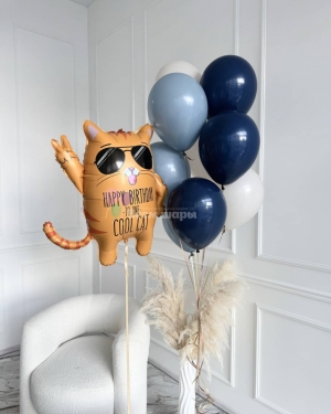 Шары на день рождения мужчины с крутым котом