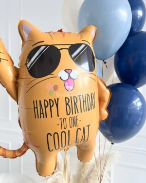 Шары на день рождения мужчины с крутым котом