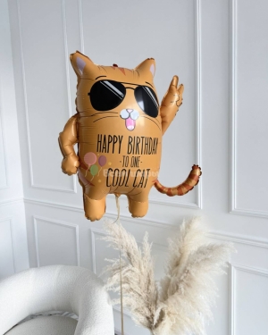 Шары на день рождения мужчины с крутым котом