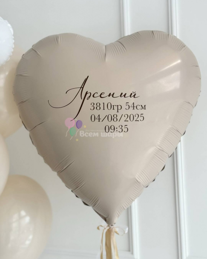 Шары на выписку мальчика с сердцем и облаком