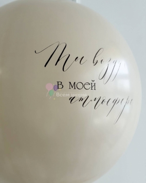 Шары шоколадные для любимой