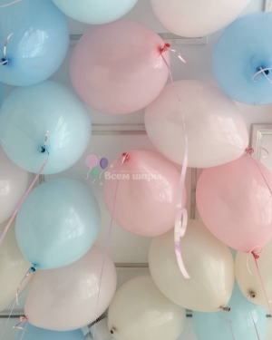 Шары под потолок на гендер пати