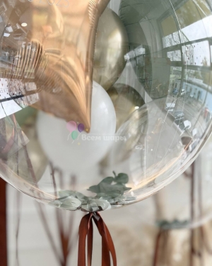 Шары на выписку мальчика "Жирафик"