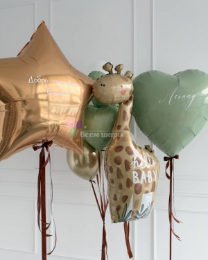 Шары на выписку мальчика с большим жирафом