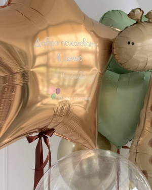 Шары для мальчика на выписку с жирафом и Баблс шаром
