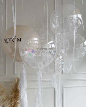 Шары на выписку мальчика прозрачные