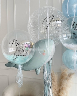 Шары на выписку мальчика с животными