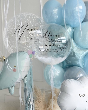 Шары на выписку мальчика с животными