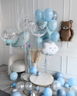 Шары на выписку мальчика с животными