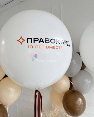 Шары на юбилей бизнеса с гигант шарами