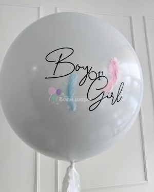 Шар большой на гендер пати с перьями