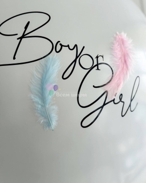 Шар большой на гендер пати с перьями