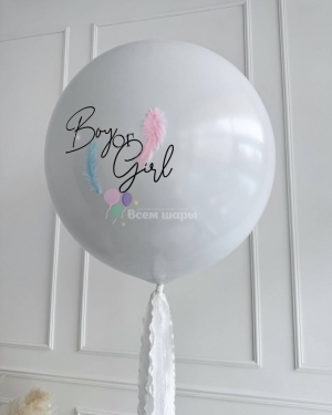 Шар большой на гендер пати с перьями