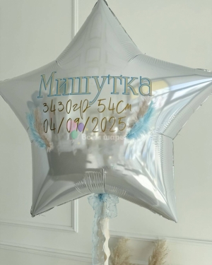 Шары на выписку мальчика с большой звездой