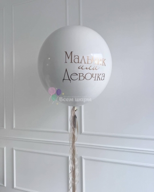 Большой шар на гендер пати с надписью
