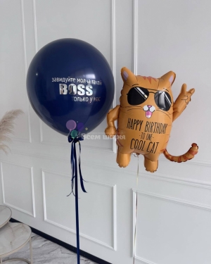 Шары для мужчины на день рождения с крутым котом