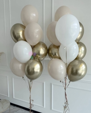 Шары на выписку с баблс шаром и перьями