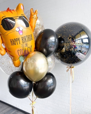 Воздушные шары Крутой кот и шар Баблс (60-90 см)