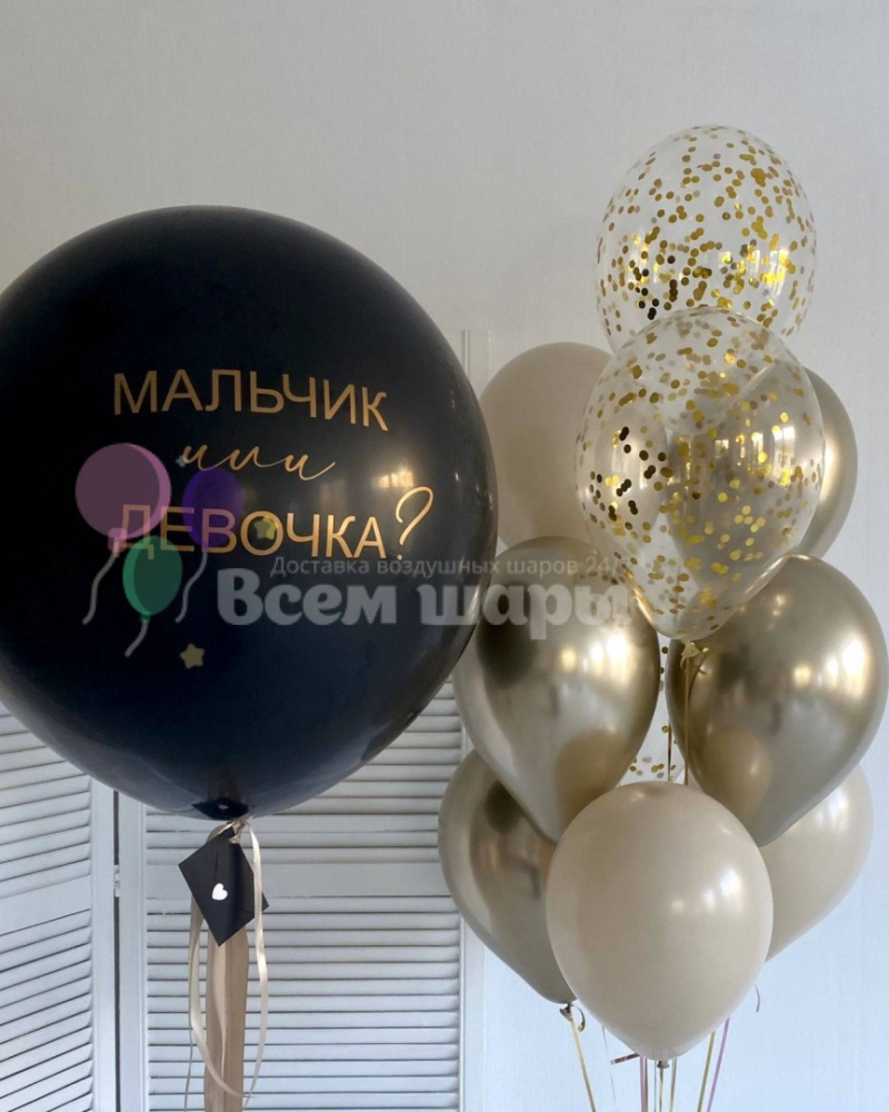 Сет шаров мальчик и девочка?