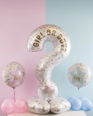 Шары на гендер пати Мальчик или Девочка? 